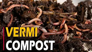 How to Make Vermicompost | How To make Vermicompost at Home From Kitchen Waste