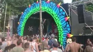 Psychedelic Experience Open Air Festival 2014