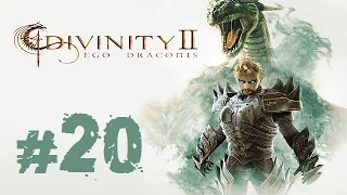 Прохождение Divinity II: Ego Draconis - Часть 20 (Знакомимся с кандидатами)