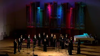 Online concert of the Philharmonic Choir "The lights of night city" 28.02.21