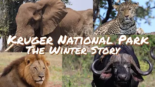 Kruger National Park June 2023 | The Winter Story | A 10 day adventure