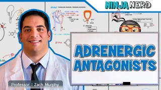 Autonomic Pharmacology | Adrenergic Antagonists