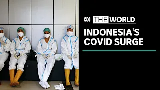 Calls for Indonesia to go into lockdown, as coronavirus infections rise | The World