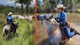 FOMOS OLHAR O NOSSO GADO NA FAZENDA ÁGUAS CLARAS! Gado fugiu do pasto.