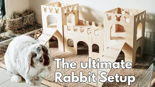 The ULTIMATE Rabbit Setup Guide