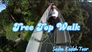 Tree Top Walk | Sedim | Kedah