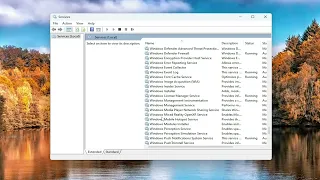 How to Start or Stop Windows Media Player Network Sharing Service in Windows 11/10 [Tutorial]