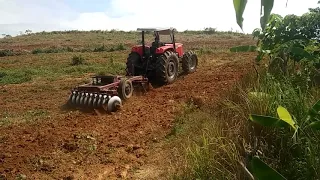 Massey fergusion 445 extra