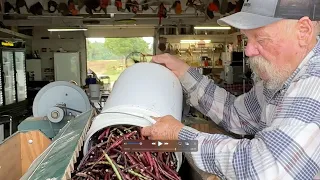 Preserving Purple Hull Peas with the Kees