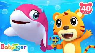 Baby Shark | Baby Shark Doo Doo Doo🐟️🐟️&🎶More Animal Songs & Nursery Rhymes | BabyTiger Animal Time