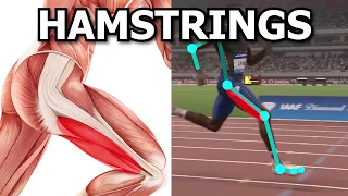 Running Exercises: Improving Hamstring Strength!
