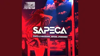 SAPECA