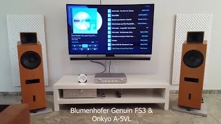 Blumenhofer Genuin FS3  vs Focal Chorus 826 W