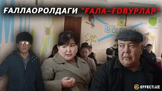 ҒАЛЛАОРОЛДАГИ “ҒАЛА–ҒОВУРЛАР” ЁХУД МАКТАБДАГИ МОЖАРОЛАР ҚАНДАЙ ЕЧИЛАДИ? – EFFECT.UZ