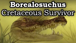 Borealosuchus: The Crocodilian That Outlived The Dinosaurs