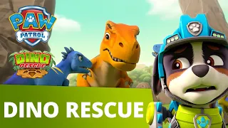 PAW Patrol Dino Rescue Mini Episode! - Pups Save the Baby Raptors! - PAW Patrol Official & Friends