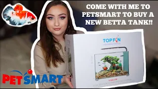 BUYING A NEW BETTA FISH TANK AT PETSMART VLOG!! | ItsAnnaLouise