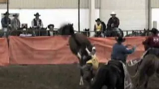 Untamed & Uncut - Bronco Riding Disaster