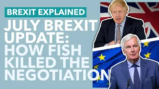 Brexit Deal Negotiations Collapse: July Brexit Update - TLDR News