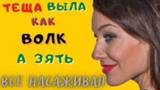 Не ожидал такого от Тещи/Истории Любви