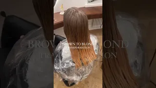 Brown to Blonde Hair Transformation: My Hair Dyeing Experience