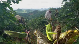 BẮT SÂU BỌ TRÊN NƯƠNG XA & LẨU SÂU BỌ  | Nhịp Sống Tây Bắc