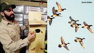 How to BUILD a WOOD DUCK House?? ((Nest Box))