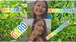 Noni Bariao Gainai Mwigong Thaigong  ll#video #bodo HDHANNA594 Blog youtube Channel. com