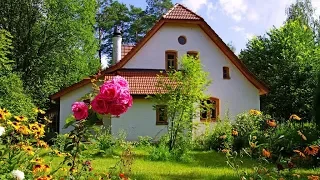 🌺25 Удивительных идей для дачи и сада / Amazing Garden Ideas / A - Video