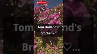 Meet tom Holland's brothers..