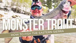 Trout Fishing: How To Catch Trout In The Eastern Sierras