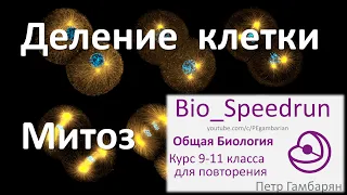 8. Митоз (Speedrun общая биология 9-11 класс, ЕГЭ, ОГЭ 2021)