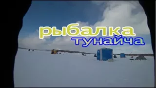 Зимняя рыбалка.  о Тунайча.  Сахалин.