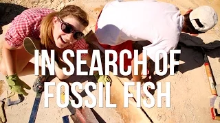 In Search of Fossil Fish