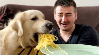 Spaghetti Eating Competition: My Dog vs Me [Round 2]