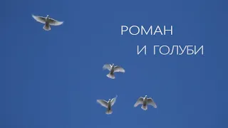 Роман и голуби