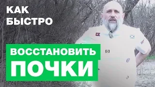 Как Быстро Восстановить Почки