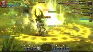 Dragon Nest SEA - Lv.50 Inquisitor - Archbishop Nest RUN [17:42] 720p