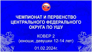 Ковер 2 (3 день) - юноши, девушки 12-14 лет