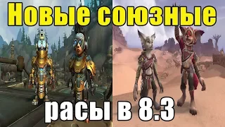 Долгожданные союзные расы в 8.3