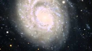 Zooming in on the spiral galaxy NGC 1637