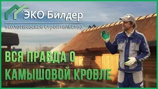 ЭКО БИЛДЕР - Вся правда о камышовой кровле