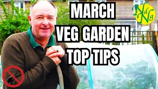 Boost Your Veggie Garden in March with These Tips || The best Tips for growing vegetables in March