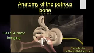 3-Anatomy of the petrous bone