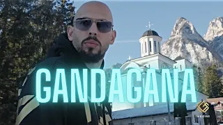 Andrew Tate [Edit]🔥 "Gandagana" | Top G, Tate Brothers #music #motivation #gandagana