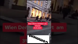 Wien Demo eskaliert heute am Abend 31.01.2021