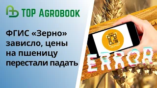 ФГИС «Зерно» зависло, цены на пшеницу перестали падать. TOP Agrobook: обзор аграрных новостей