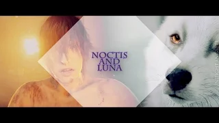 noctis and luna || angels.