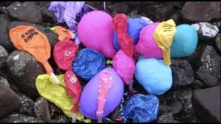 Balloons kill our wildlife