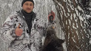 Здоровенный бобер/Приманка на бобра J'YUCON-BEAVER CREEK в деле/Охота на бобра/Часть 1